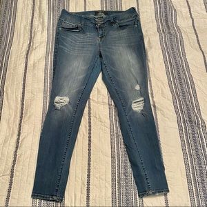Torrid Premium Jeans 16